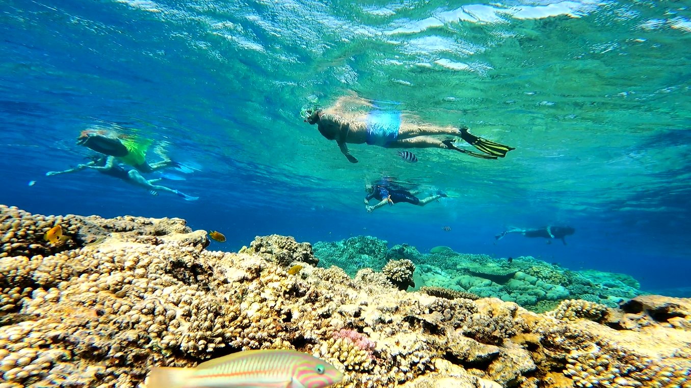 GH014510.MP4_20240120_083941.842